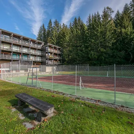 Apartament Des Tines *